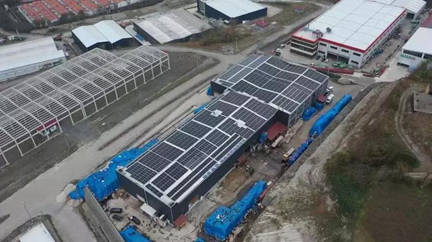 Rize'de üretip dünyaya satıyor, milyonlar kazanıyor! Çöpten 'altına' dönüşüyor, dünyada ilk...