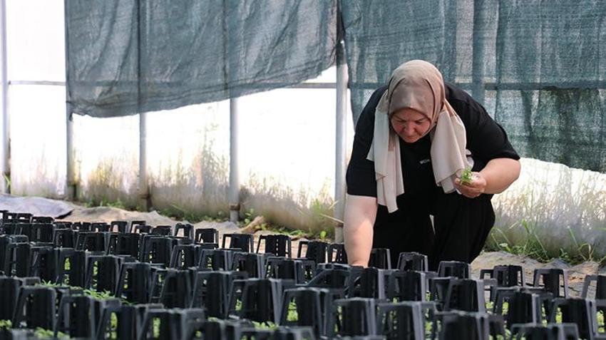 Emekli olduktan sonra girişimci oldu! 51 yaşında hayatını sil baştan kurdu