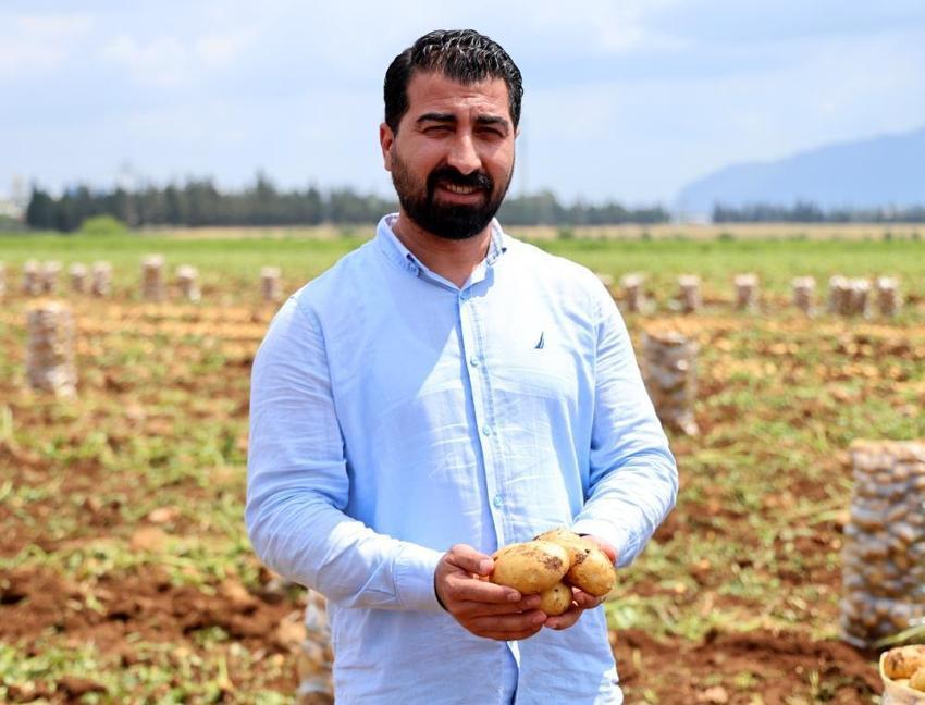 Türkiye'de ilk burada hasat ediliyor! Kilosu 24 liradan alıcısını bekliyor, sofralara doğru yola çıktı