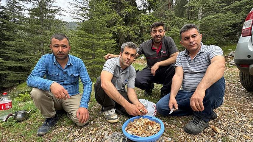 Tüm köy zengin oldu: Kilosunu bin liradan satıyorlar! 'Altın bulsak bu kadar sevinmeyiz'