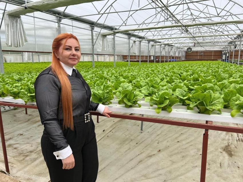 Amerika'da gördü, memleketi Trabzon'da uygulamaya başladı: Çevreci ve ekonomik tarım modeliyle devrim yaratacak!