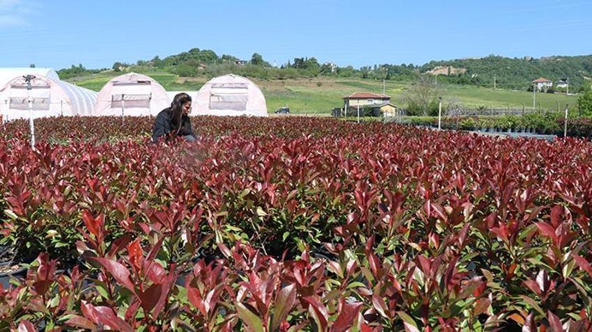 Birçok iş denedi olmadı! Sonunda babasının yolundan gitti ve devlet desteğiyle işinin patronu oldu