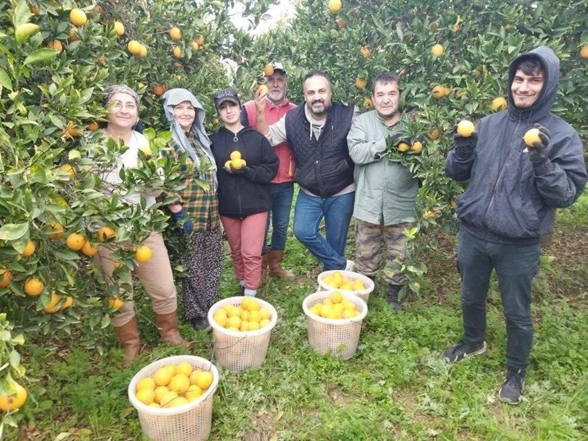 Her çiftçi başvurduğunda alıyor! Aydın'da destek başladı: Üretime 1 litre katkısı
