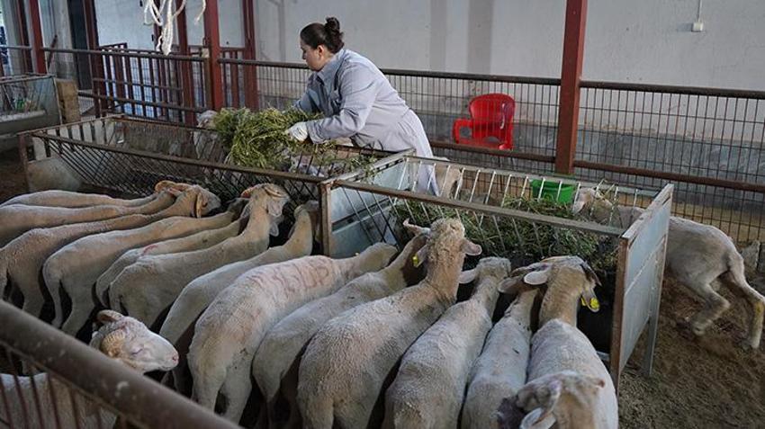 Ispartalı kadının yaptığını kimse yapamıyor! Kurduğu düzenden asla taviz vermiyor