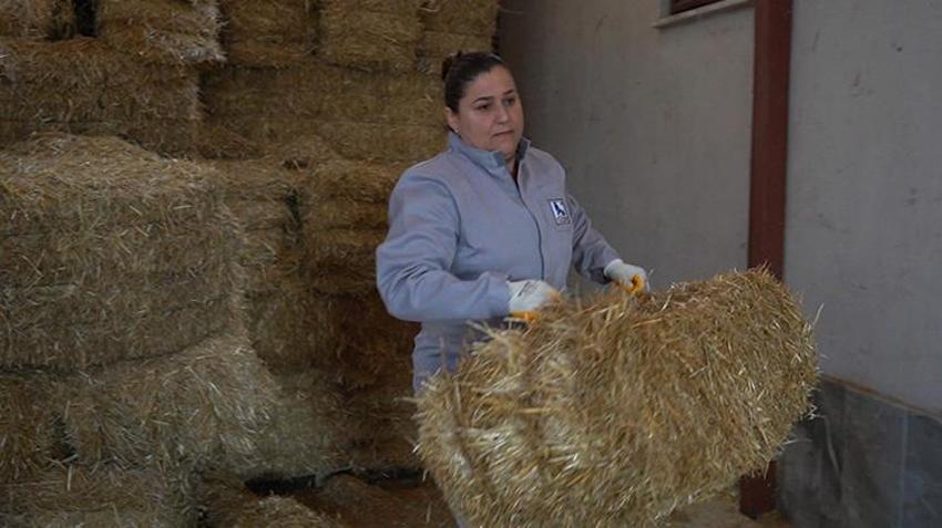 Ispartalı kadının yaptığını kimse yapamıyor! Kurduğu düzenden asla taviz vermiyor