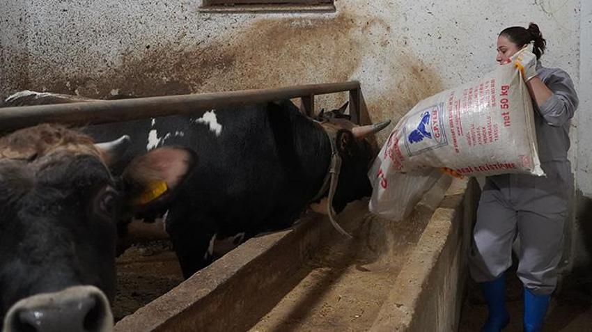 Ispartalı kadının yaptığını kimse yapamıyor! Kurduğu düzenden asla taviz vermiyor