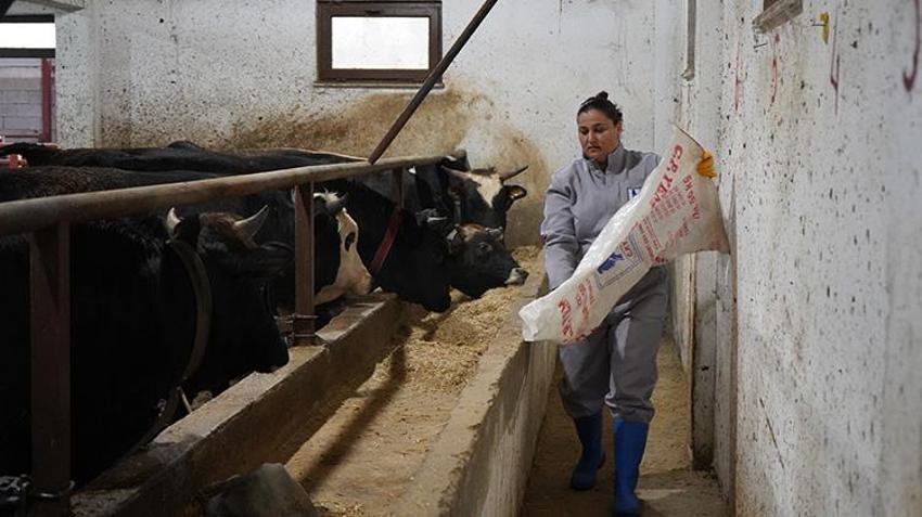 Ispartalı kadının yaptığını kimse yapamıyor! Kurduğu düzenden asla taviz vermiyor