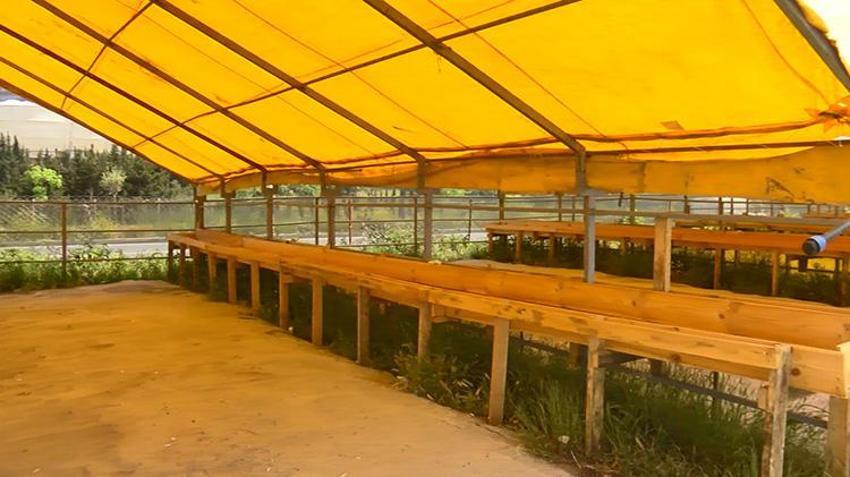 Kurban Bayramı'na 1 ay kaldı: İstanbul'da kurban pazarları kurulmaya başlandı