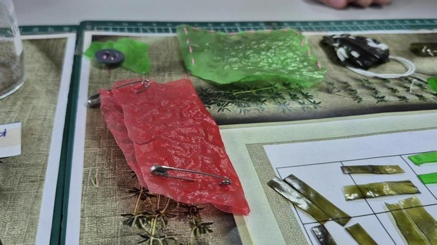 10 yaşındaki Ravza'nın fikrine TÜBİTAK sahip çıktı!  Derste aklına geldi: Hastanelerde kullanılacak