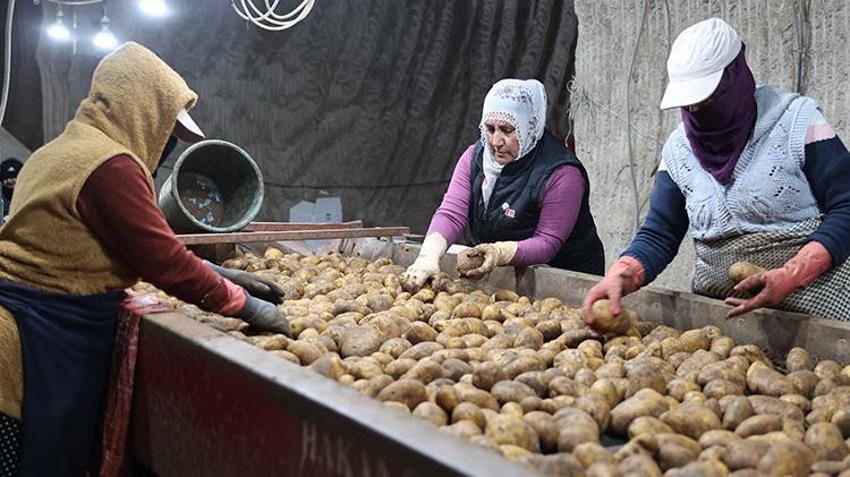 Dedesinin yolundan gitti! Devletin verdiği hibelerle tesisleri modernleştirdi