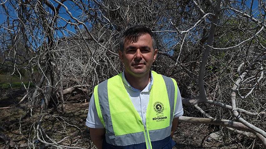 Samsun'un saklı cenneti kuş oteli gibi! Kızılırmak Deltası'nda 365 kuş türünü ağırlıyor