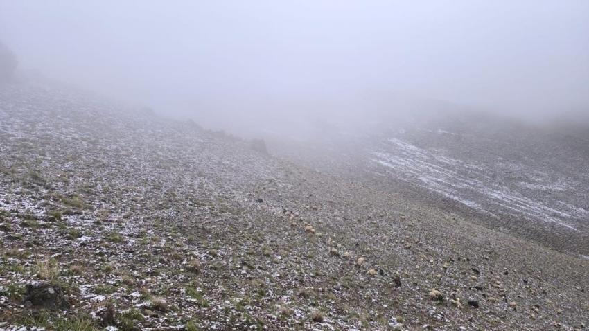 3 şehir Mayıs ayında kar altında kaldı! Aniden lapa lapa bastırdı