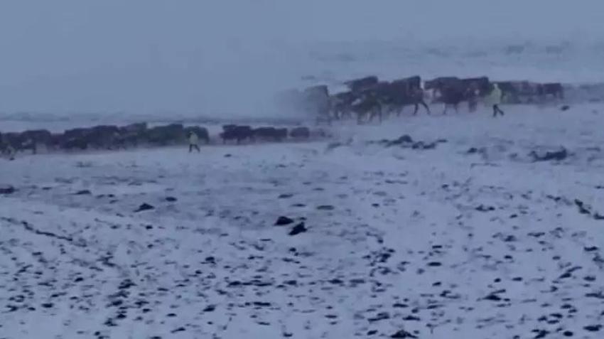 3 şehir Mayıs ayında kar altında kaldı! Aniden lapa lapa bastırdı