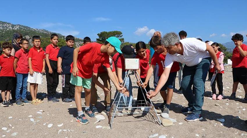 Antalya'da alarm verildi! 200 tane vardı, bu yıl ilk kez görüldü: Bugünden itibaren yasaklar başladı