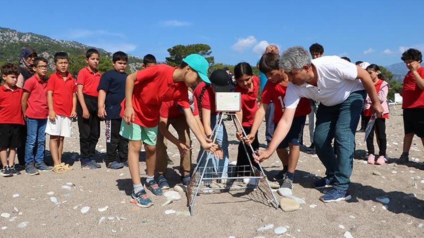 Antalya'da alarm verildi! 200 tane vardı, bu yıl ilk kez görüldü: Bugünden itibaren yasaklar başladı