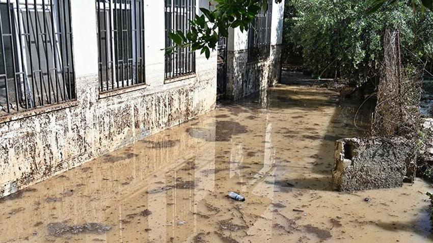 Osmaniye'de dere yatağı taştı! Araçlar hurdaya döndü, kurtarma çalışmaları sürüyor