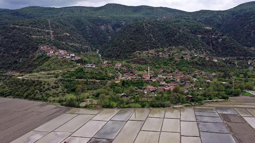 Atatürk'ün talimatıyla kuruldu! Yüzyıllardır Kastamonu'da yapılıyor, beyaz altın mesaisi başladı