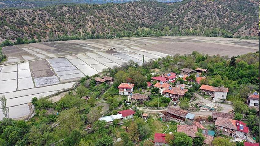 Atatürk'ün talimatıyla kuruldu! Yüzyıllardır Kastamonu'da yapılıyor, beyaz altın mesaisi başladı