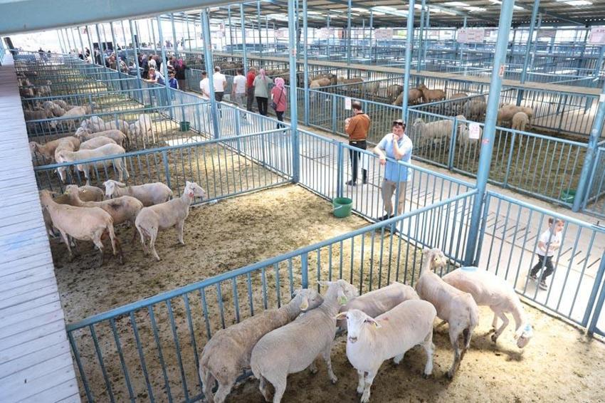 Denizli Merkezefendi'de kadın üreticilere 10 milyonluk destek!