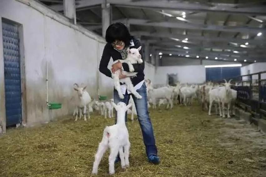 Güney Kore'de düşündü, Kocaeli'de hayata geçirdi! Genç kadın fabrika kurdu, Üretim 22 dönüme ulaştı