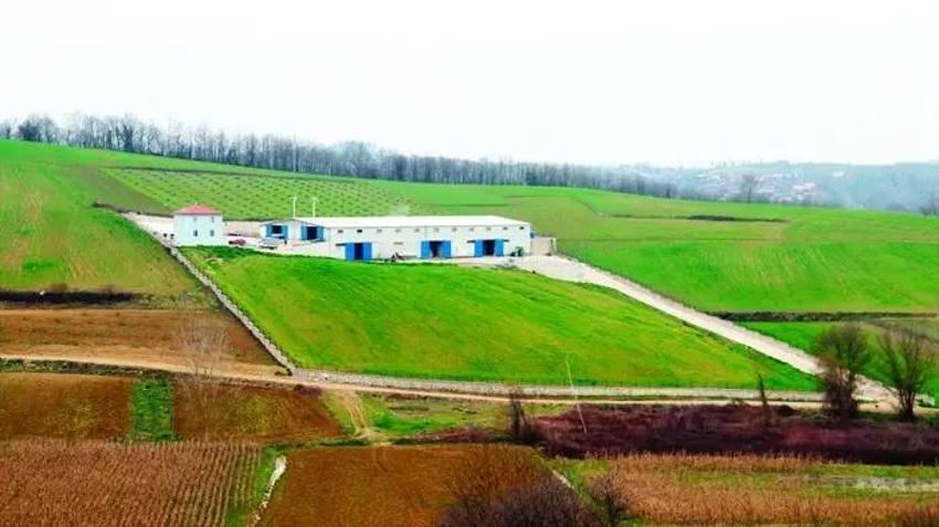 Güney Kore'de düşündü, Kocaeli'de hayata geçirdi! Genç kadın fabrika kurdu, Üretim 22 dönüme ulaştı