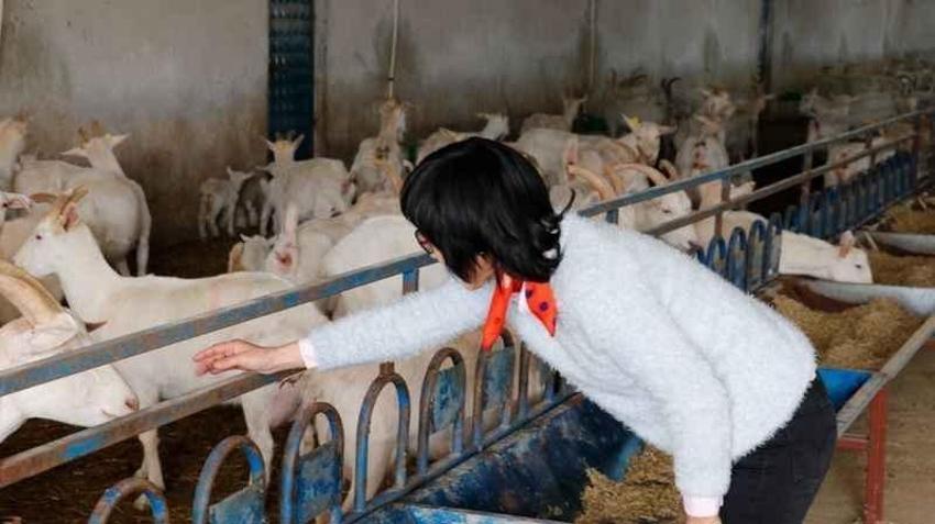 Güney Kore'de düşündü, Kocaeli'de hayata geçirdi! Genç kadın fabrika kurdu, Üretim 22 dönüme ulaştı