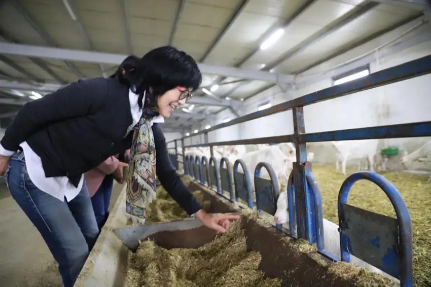 Güney Kore'de düşündü, Kocaeli'de hayata geçirdi! Genç kadın fabrika kurdu, Üretim 22 dönüme ulaştı