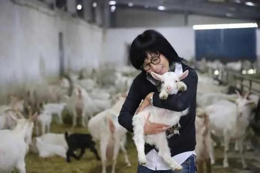 Güney Kore'de düşündü, Kocaeli'de hayata geçirdi! Genç kadın fabrika kurdu, Üretim 22 dönüme ulaştı