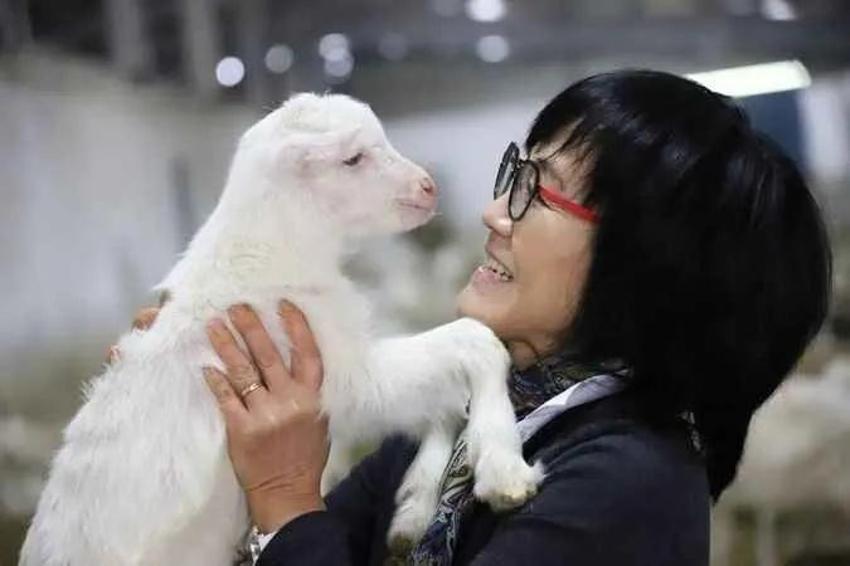 Güney Kore'de düşündü, Kocaeli'de hayata geçirdi! Genç kadın fabrika kurdu, Üretim 22 dönüme ulaştı