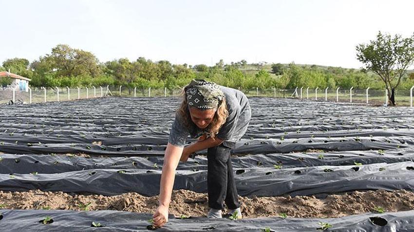 Pandemide şehirden kaçıp kasabasına döndü! Üretime başladı, artık talebe yetişmek onun için imkansız