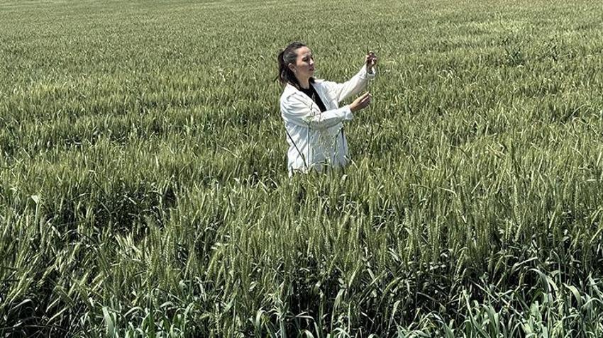 Yaşıtları büyük şehirlerde işçi oldu, o ailesinin işini sahiplenip teknoloji ile büyüttü