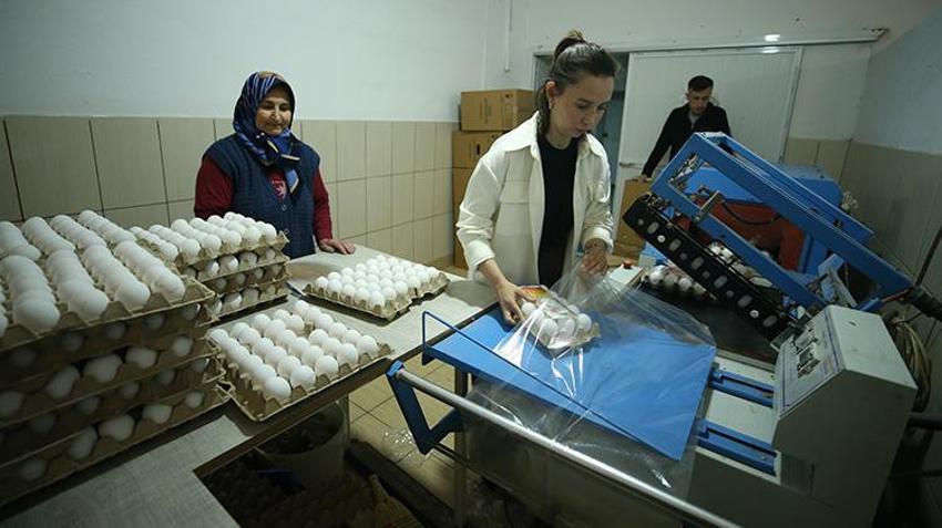 Yaşıtları büyük şehirlerde işçi oldu, o ailesinin işini sahiplenip teknoloji ile büyüttü