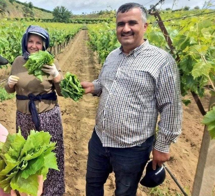 Günlük 1500 TL kazandırıyor! Manisa'da sezon başladı, ev kadınları bağlara koşuyor