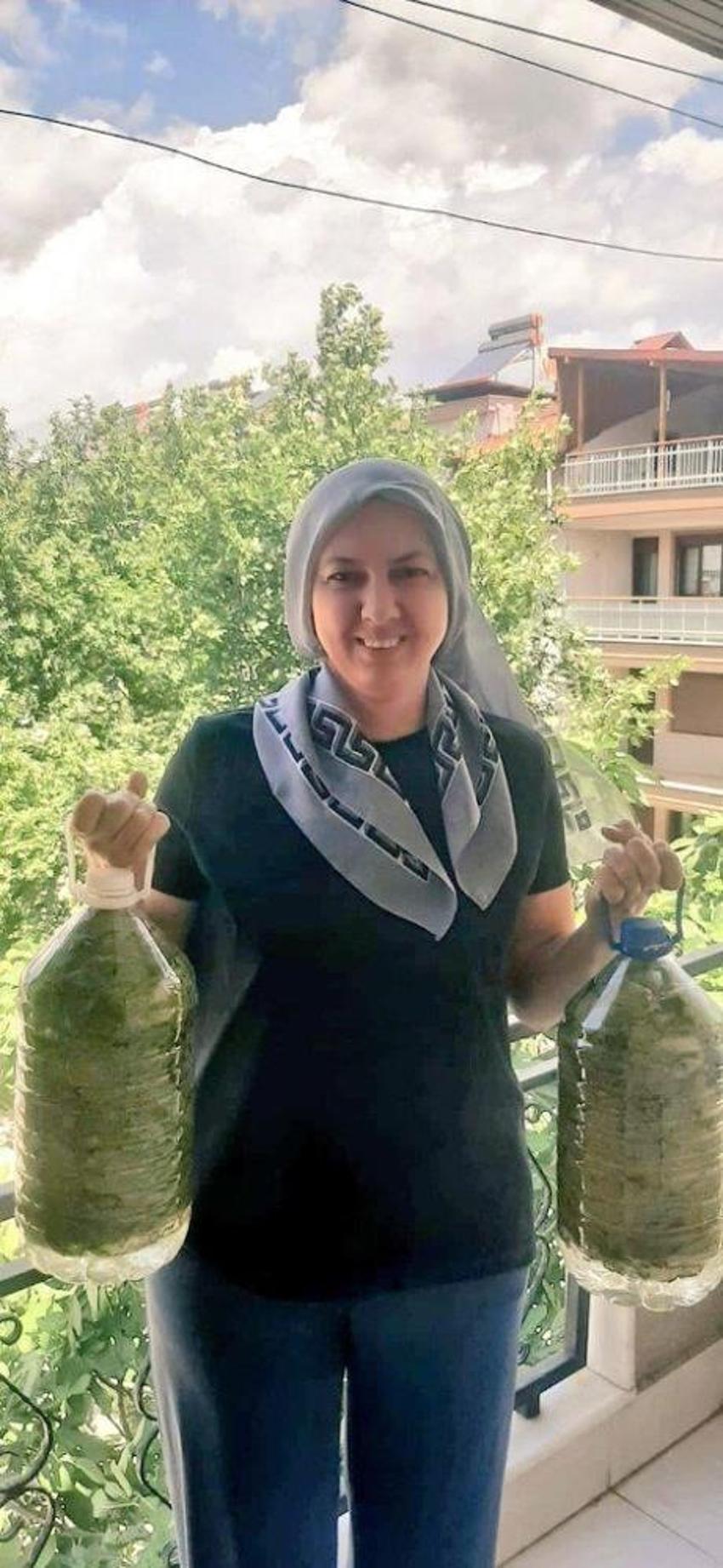 Günlük 1500 TL kazandırıyor! Manisa'da sezon başladı, ev kadınları bağlara koşuyor