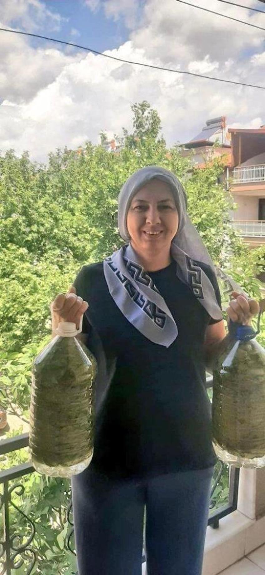 Günlük 1500 TL kazandırıyor! Manisa'da sezon başladı, ev kadınları bağlara koşuyor