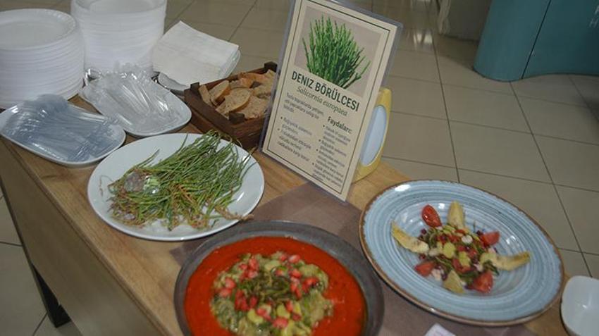 Yüzyıllardır yapılıyor! Geleceğin gastronomi şeflerinden ot şenliği