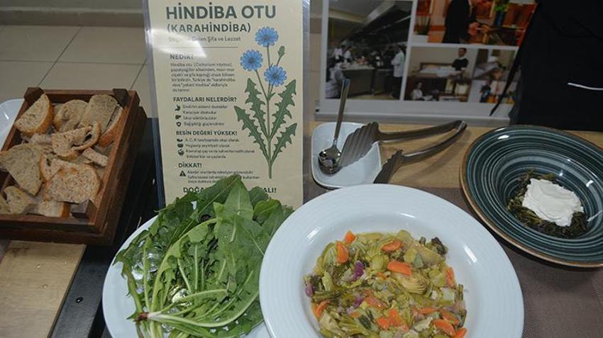 Yüzyıllardır yapılıyor! Geleceğin gastronomi şeflerinden ot şenliği