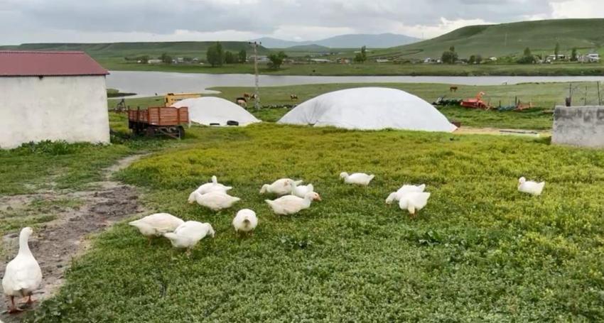 Kars'ta sofraların vazgeçilmezi! Köylüler gözü gibi bakıyor, kilosu 4.500 lira, gram altınla yarışıyor