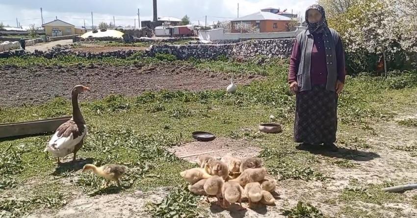 Kars'ta sofraların vazgeçilmezi! Köylüler gözü gibi bakıyor, kilosu 4.500 lira, gram altınla yarışıyor