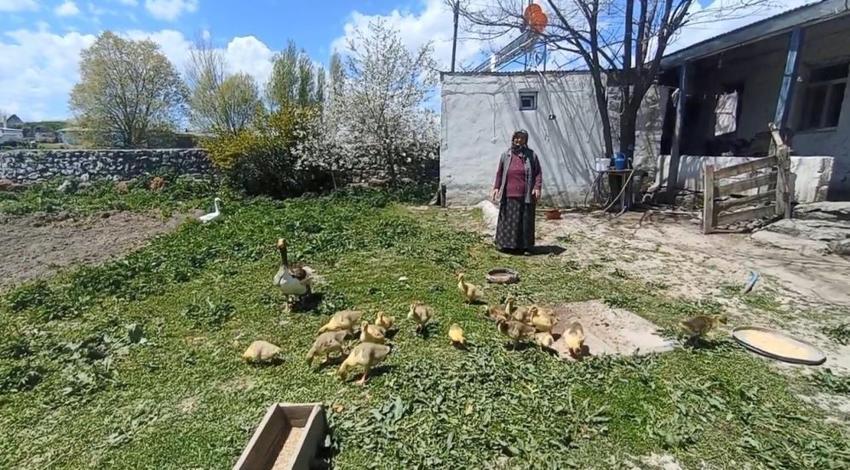 Kars'ta sofraların vazgeçilmezi! Köylüler gözü gibi bakıyor, kilosu 4.500 lira, gram altınla yarışıyor
