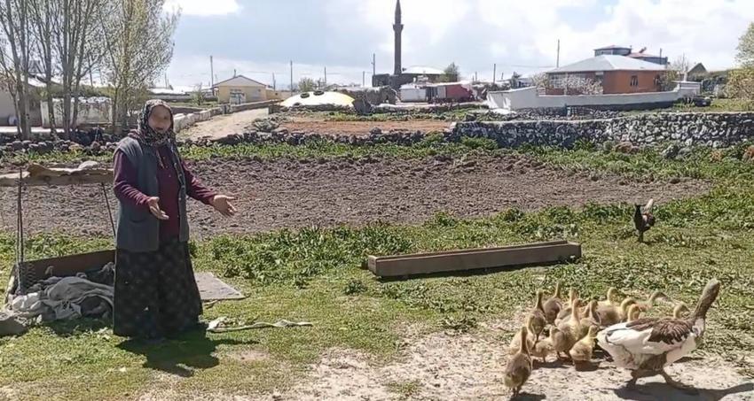 Kars'ta sofraların vazgeçilmezi! Köylüler gözü gibi bakıyor, kilosu 4.500 lira, gram altınla yarışıyor