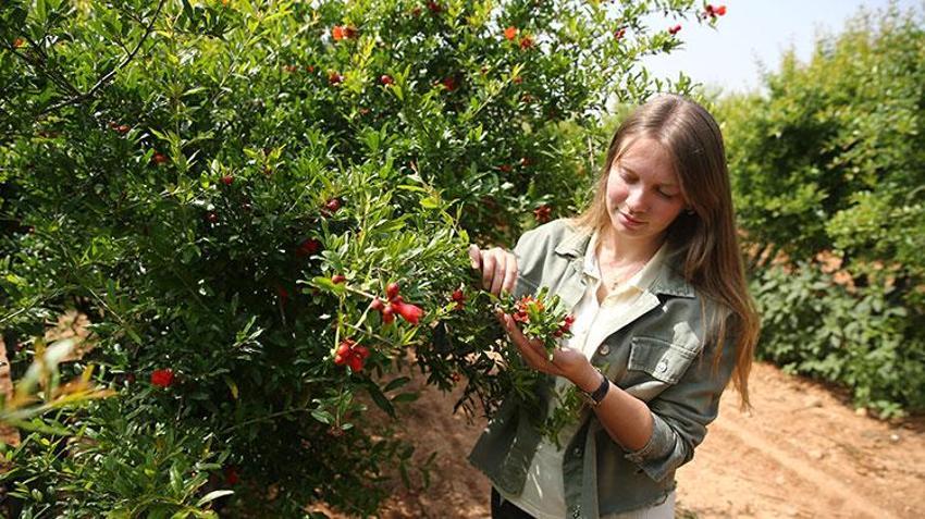 Genç girişimci köyüne üretim üssü kurdu! 27 yaşında Çukurova'nın zeytinyağı kraliçesi oldu