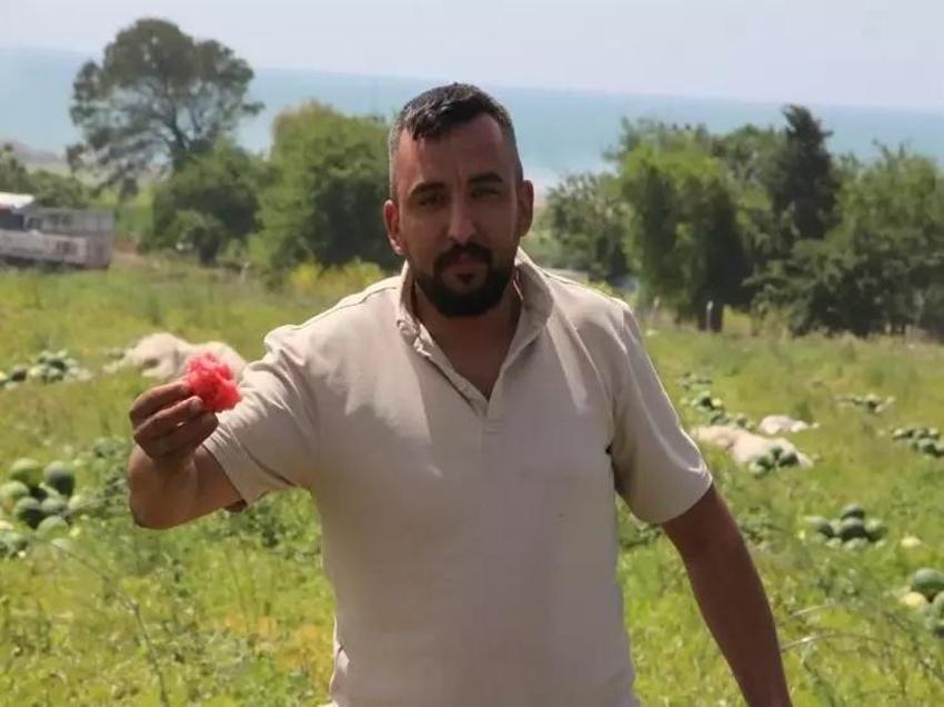 Adana'da 7 TL, İstanbul'da 50! Karpuz hasadı başladı
