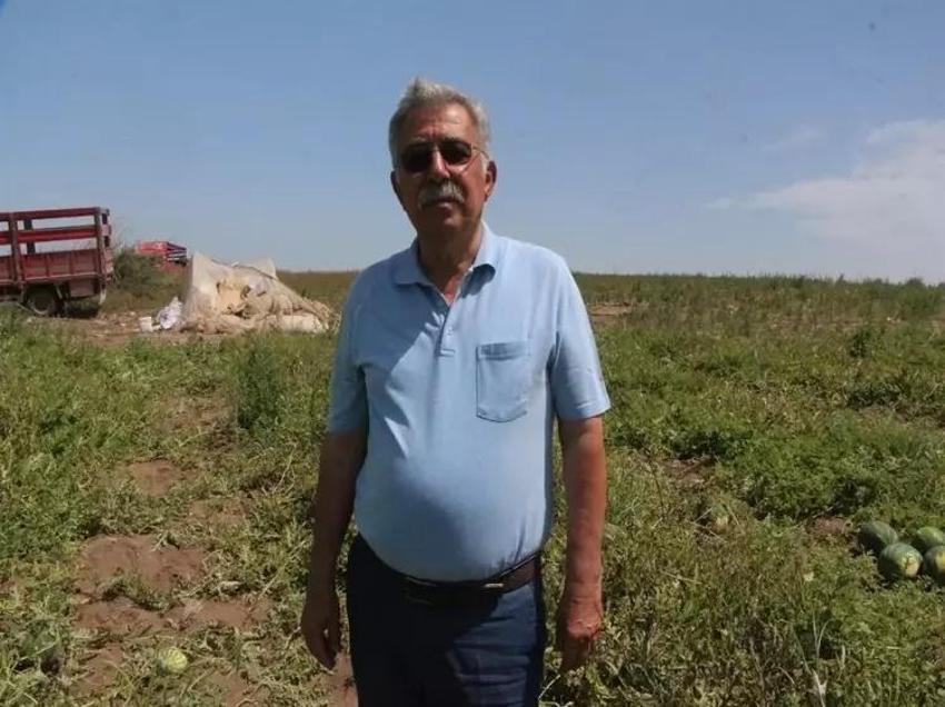 Adana'da 7 TL, İstanbul'da 50! Karpuz hasadı başladı
