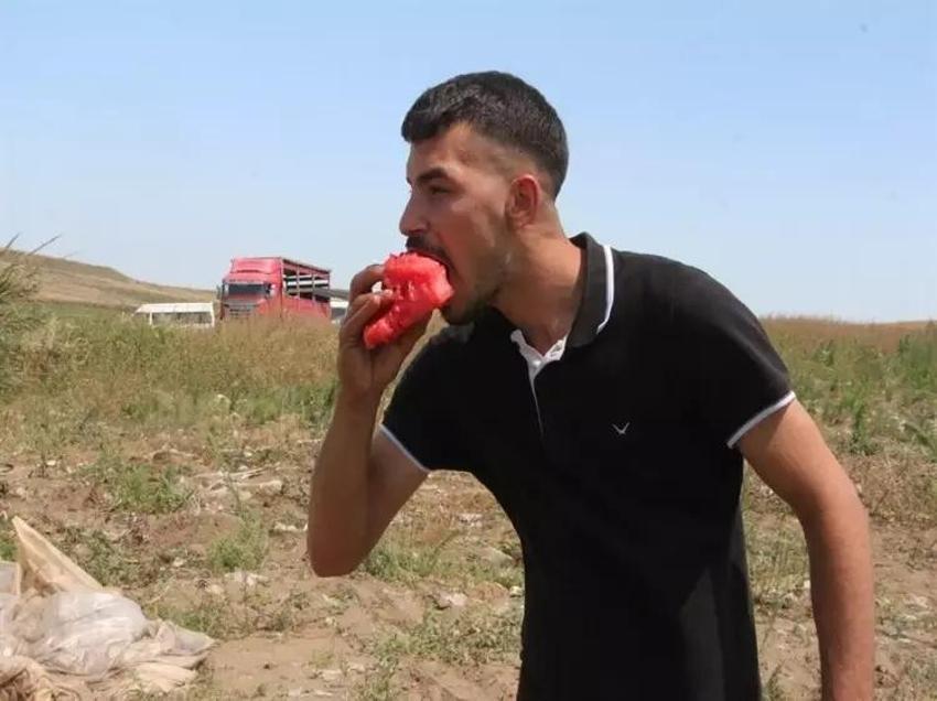 Adana'da 7 TL, İstanbul'da 50! Karpuz hasadı başladı
