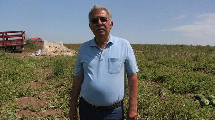 İlk hasat başladı: Kilosu tarlada 7 lira! Türkiye'nin ihtiyacının 4'te birini karşılıyor