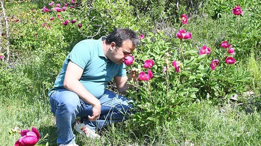 Koklamak bedava, koparmak 557 bin lira! Ömrü sadece 15 gün...