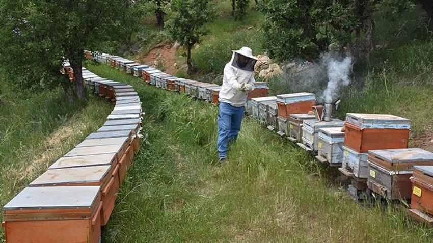 Mersin'den Şırnak'a zorunlu olarak göç etti! Hayalini kurduğu işi orada buldu