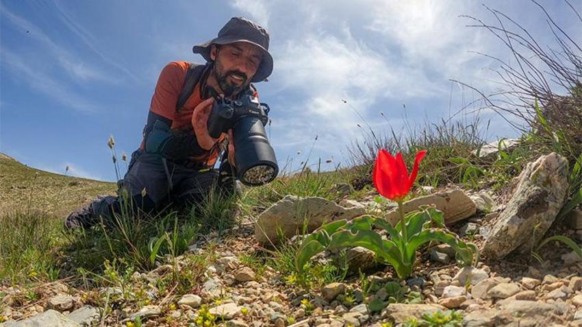 Dünyadaki türlerin üçte biri Türkiye'de! Diyarbakır'da yeni bir tür keşfedildi