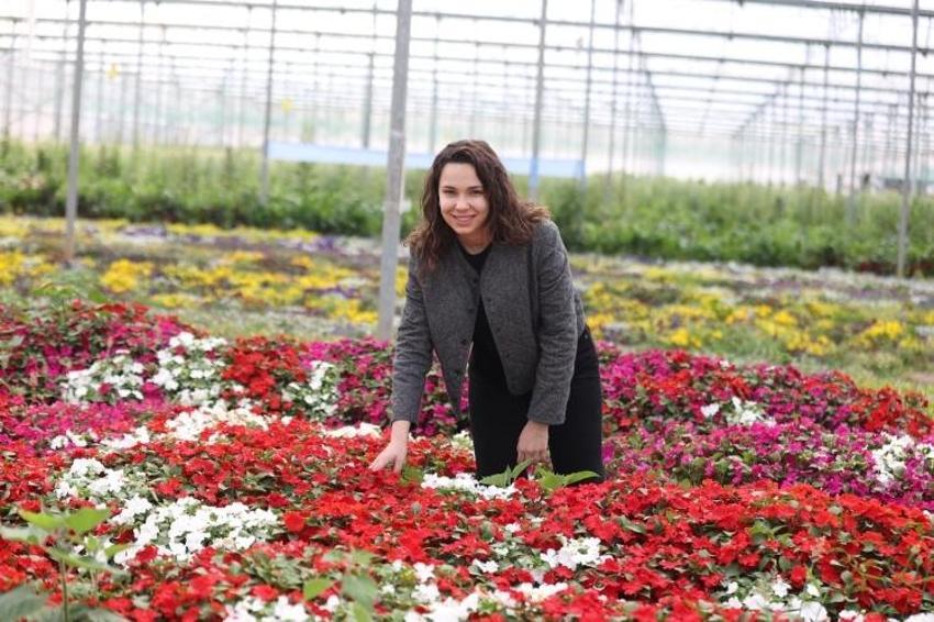Antalya'da keşfetti, ömrünü 30 güne çıkardı! 3 bin dönüm araziye çıktı: Piyasa ürünü sadece ondan alıyor